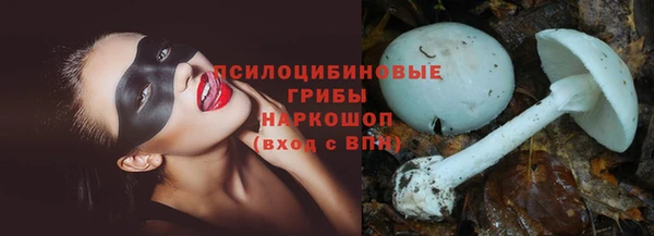 а пвп мука Бронницы