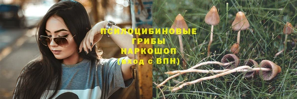 ALPHA-PVP Бородино