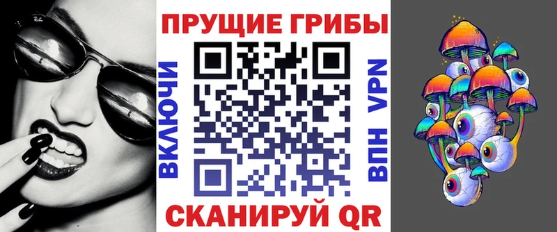 продажа наркотиков  Исилькуль  Псилоцибиновые грибы MAGIC MUSHROOMS 