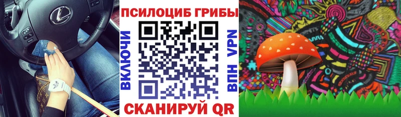Галлюциногенные грибы GOLDEN TEACHER Исилькуль