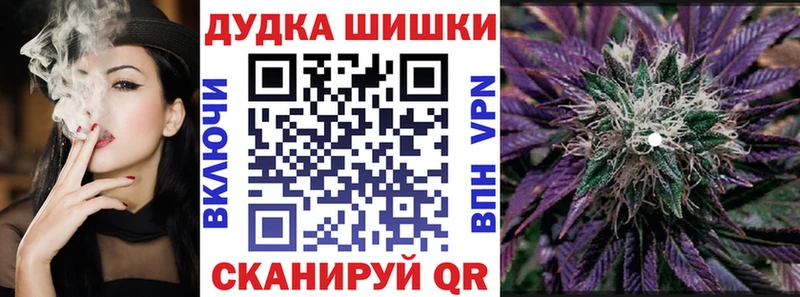 Конопля гибрид  Исилькуль 
